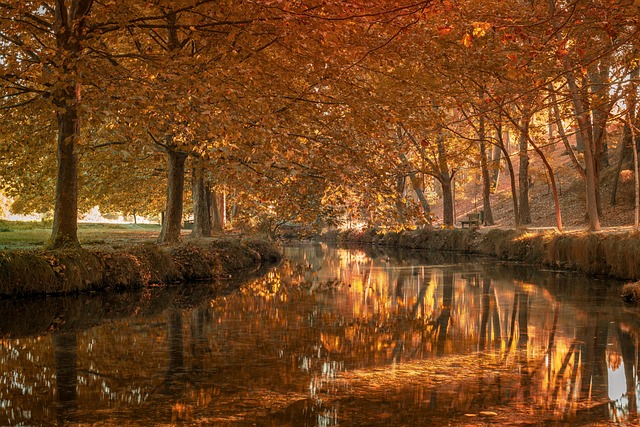 fachada en Calle de Alcalá 50 Madrid
