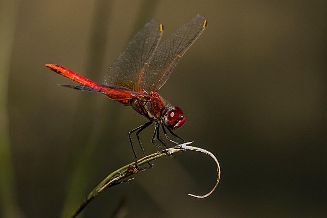 oficina luminosa en Calle de Alcalá Madrid
